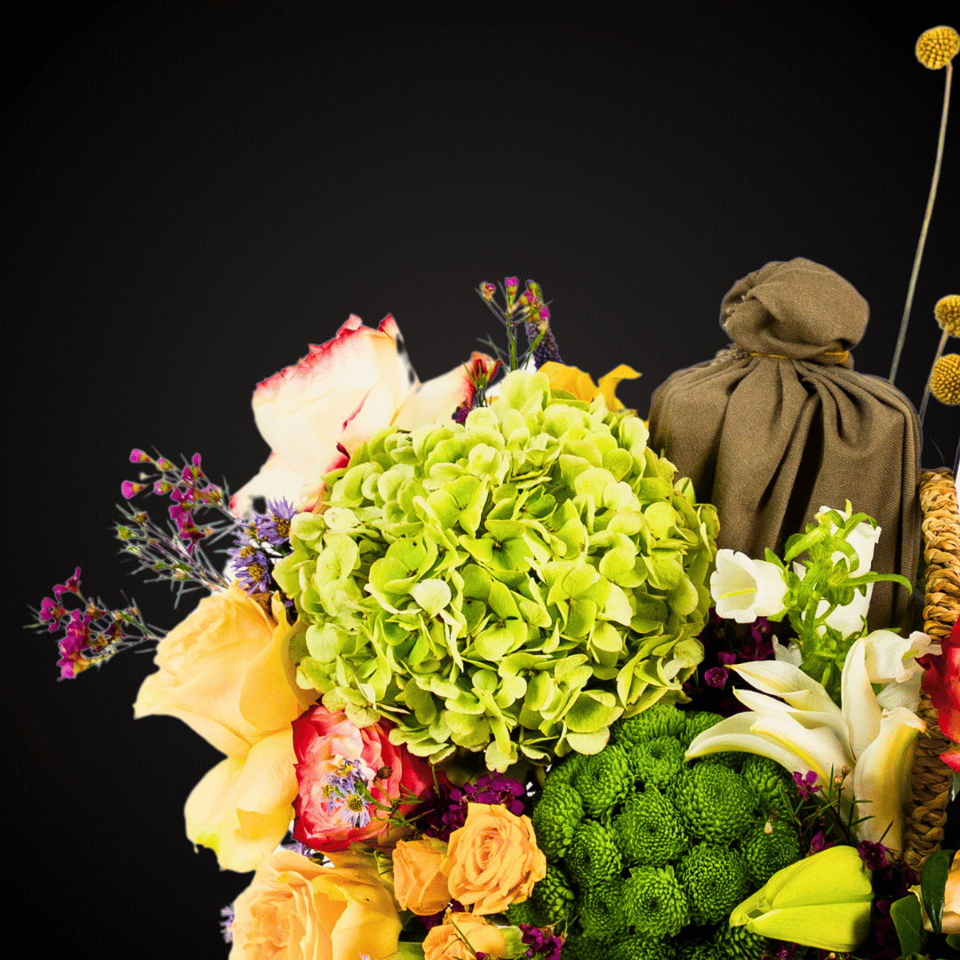 Broccoli (2) Broccoli (2)